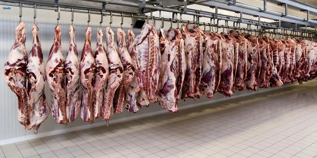 الزامات محیط‌زیست کشتارگاه در مشهد | رفع اخطار + مجوز بهره‌برداری