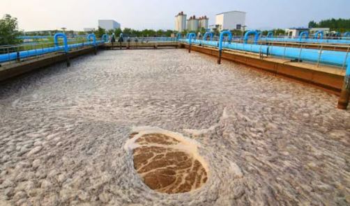 بررسی تخصصی رفتار بیولوژیکی لجن و تأثیر آن بر کارایی آبگیری مکانیکی